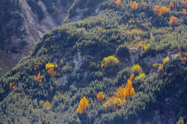 Temporada de otoño en las montañas —  Fotos de Stock