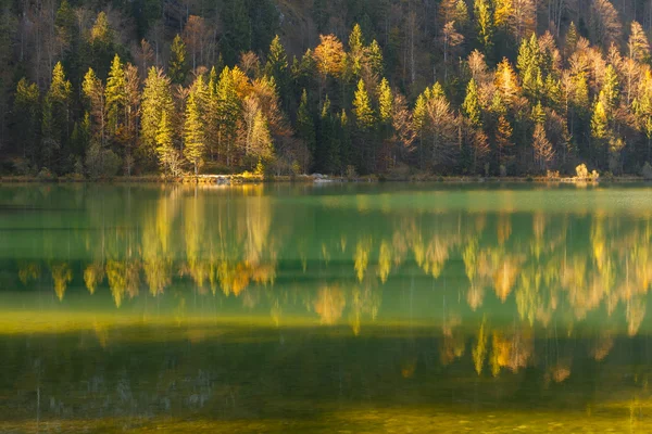 Gouden weerspiegeling van de herfst hout — Stockfoto