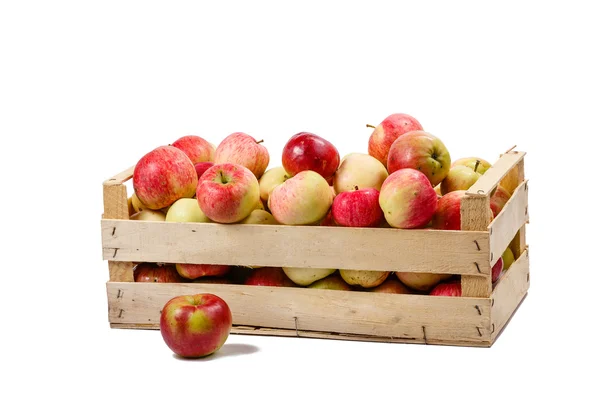 Коробка с яблоками — стоковое фото