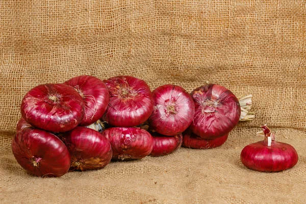 Cebollas rojas — Foto de Stock