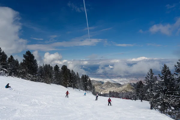 Massa afdaling skiën — Stockfoto