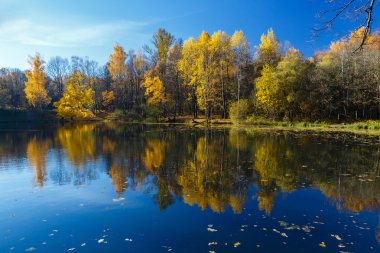 Sonbahar manzara yansıması