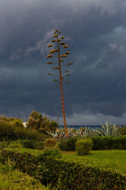 Deniz üzerinde gökyüzünde thunderclouds