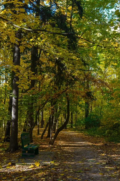 Дорога в парке — стоковое фото