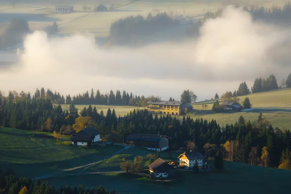 Morgennebel im Tal in den österreichischen Alpen — Stockfoto