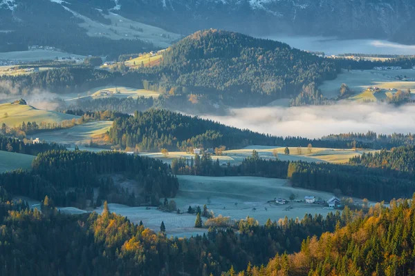 Niebla matutina en el valle de los Alpes austríacos — Foto de Stock