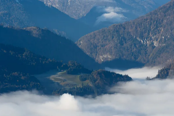 Porannej mgle w dolinie w Alpach austriackich — Zdjęcie stockowe