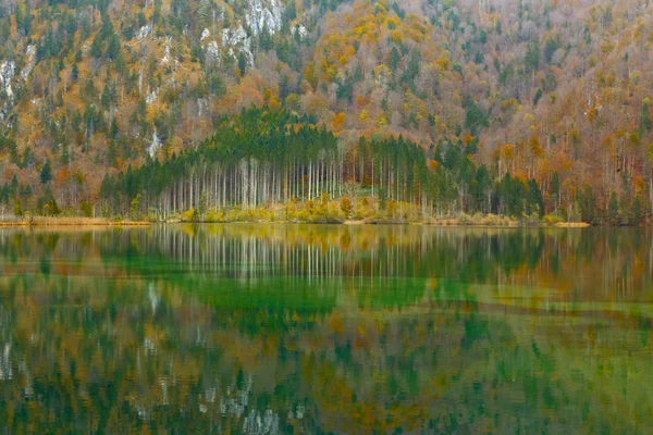 Reflexão da madeira no lago — Fotografia de Stock