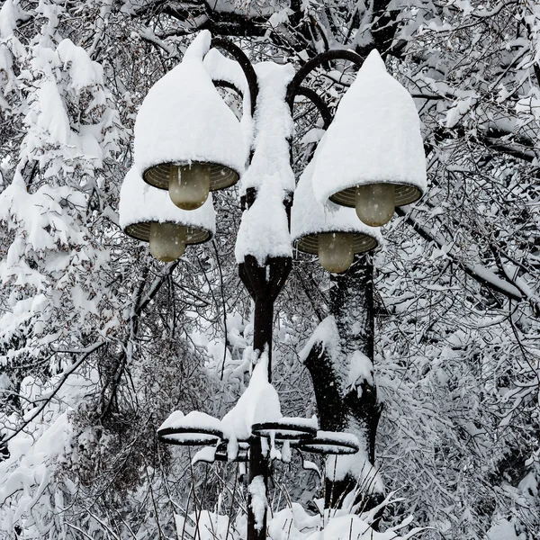 Уличные фонари, покрытые толстым снежным слоем — стоковое фото