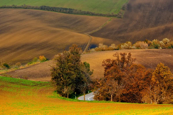 Verano indio en Moravia — Foto de Stock