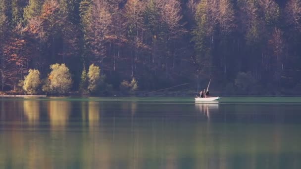 Pesca en el lago de los Alpes — Vídeo de stock