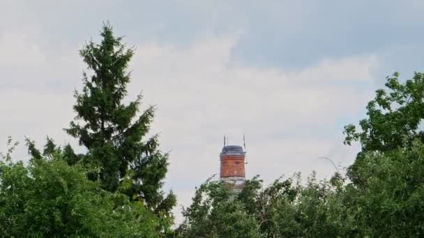 Verlaten Eenzame Schoorsteen Achter Een Groene Boom Het Bos — Stockvideo