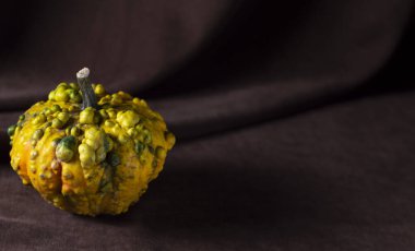 Kahverengi arka planda balkabağıyla hayat