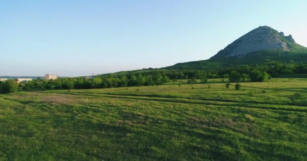 이 시간에 사람들은 밭을 가로질러 가고 있다 — 비디오