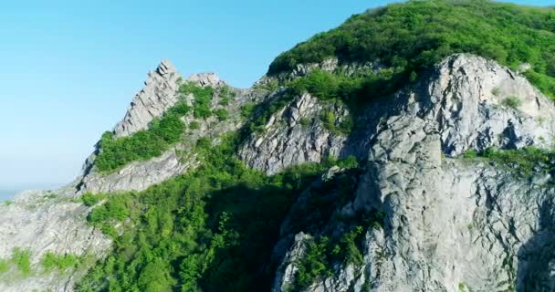 Eine Drohne fliegt aus der Vogelperspektive auf einen Berg mit kahlen Felsen, umgeben von grünen Bäumen — Stockvideo