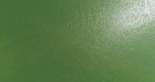 어느 화창 한 여름날푸른 색으로 칠 해진 연못 위를 드론이 날아가는 모습 — 비디오