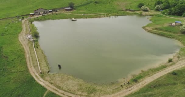 Der Flug der Kamera vom Vogelflug über einen grünen Teich, in dem sich die Sonnenstrahlen spiegeln — Stockvideo