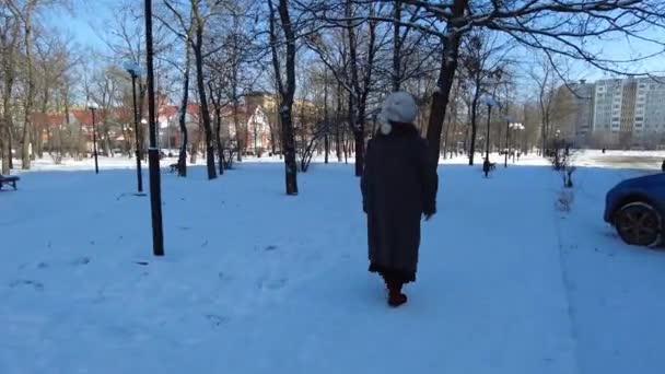 暖かい長いコートと毛皮の帽子で冬の屋外で雪の中を歩く高齢者の女性 — ストック動画