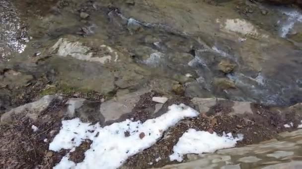 Ροή νερού ενός μικρού διαφανούς ποταμού στα βουνά — Αρχείο Βίντεο