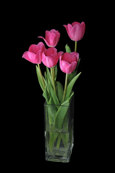 Tulipanes en un jarrón sobre fondo negro — Foto de Stock
