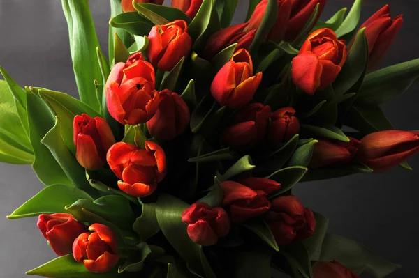 Ramo de tulipanes rojos. vista superior —  Fotos de Stock