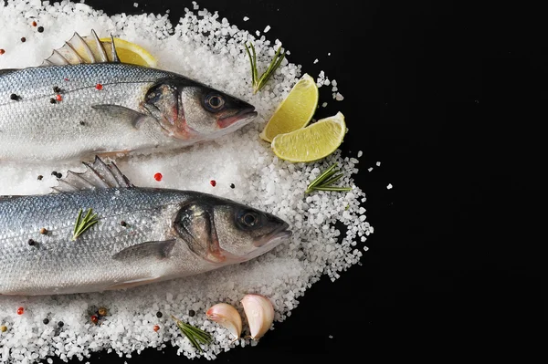 Dos peces de lubina en sal con limón, lima, romero y spi — Foto de Stock