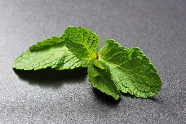 Hoja de menta sobre fondo negro Fotos De Stock