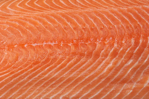 Structure of the meat of salmon is filmed close up — Stock Photo, Image