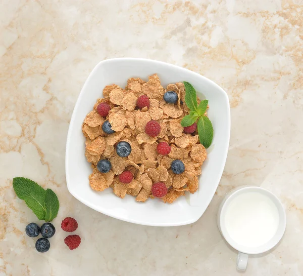 Lackeys oatmeal with berries and milk — Stock Photo, Image