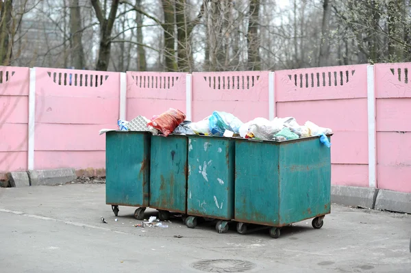 Kattebakken in de tuin — Stockfoto