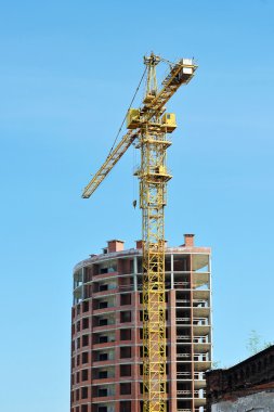 Vinçler yeni bir ev inşa ediyor 