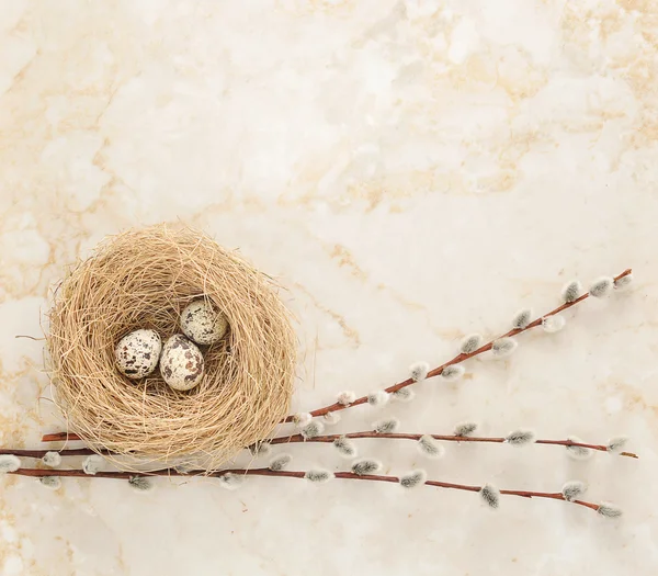 Гніздо з перепелиними яйцями і вербовими гілочками на фоні мармуру — стокове фото