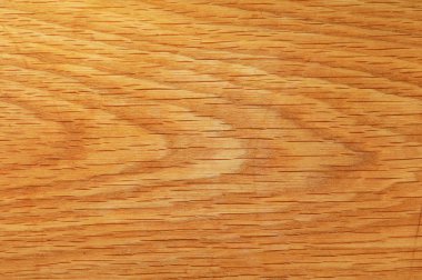 arka plan ağaç doku Üstten Görünüm