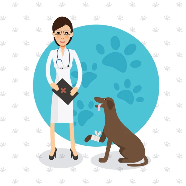 Médico veterinário fêmea bonito com cão —  Vetores de Stock