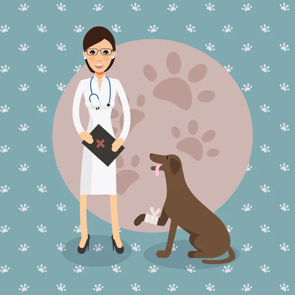 Médico veterinário fêmea bonito com cão —  Vetores de Stock