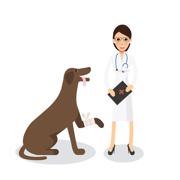 Sevimli kadın Veteriner doktor ile köpek — Stok Vektör