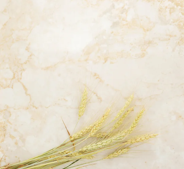 Fundo de orelhas de trigo em um fundo de mármore — Fotografia de Stock