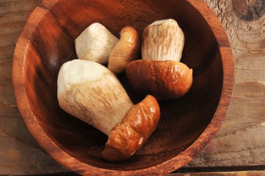 Boletus mantarı. Boletus mantarı yenilebilir mantar mı