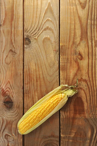 Fresh corn on the cob - a whole cob with leaves — Stock Photo, Image