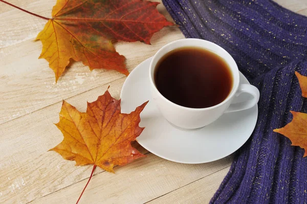 Eşarplı bir fincan çay ve sonbahar akçaağaç yaprakları - sonbahar durgun yaşamı 