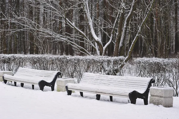 Verschneite Bänke Winterpark — Stockfoto