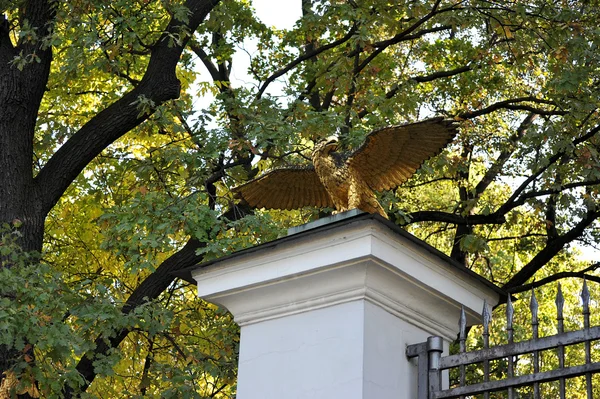 Eagle skulptur på staketet av parken ungdom kreativitet, Sa — Stockfoto