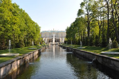 St. Petersburg, Rusya Federasyonu - 26 Mayıs: Peterhof çeşme 