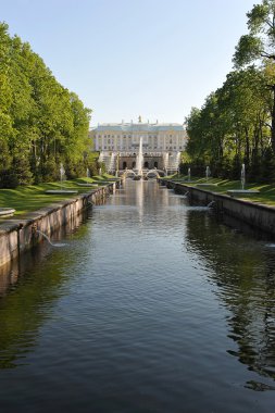 St. Petersburg, Rusya Federasyonu - 26 Mayıs: Peterhof çeşme 