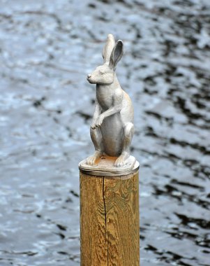 anıt St. p Peter ve Paul kale çevresinde yabani tavşan