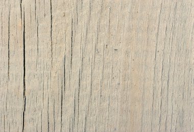 arka plan ağaç doku