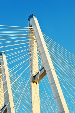 Büyük Obukhovsky Köprüsü (Askılı) Neva Nehri, St. Pe