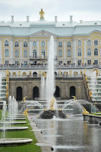 ST. PETERSBURG, RUSSIA - MAY 26: The Peterhof fountain "Samson t — Stock Photo, Image