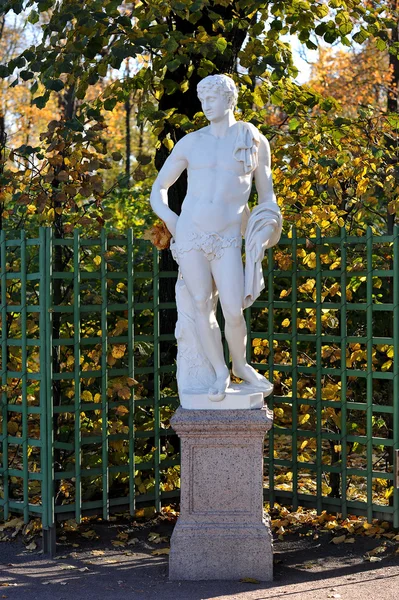 Estatua en el jardín de verano en San Petersburgo, Rusia —  Fotos de Stock