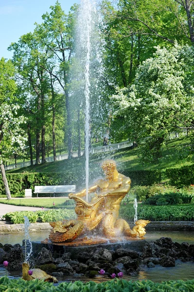 St. petersburg, russland - mai 26: brunnen gewächshaus in peterhof — Stockfoto